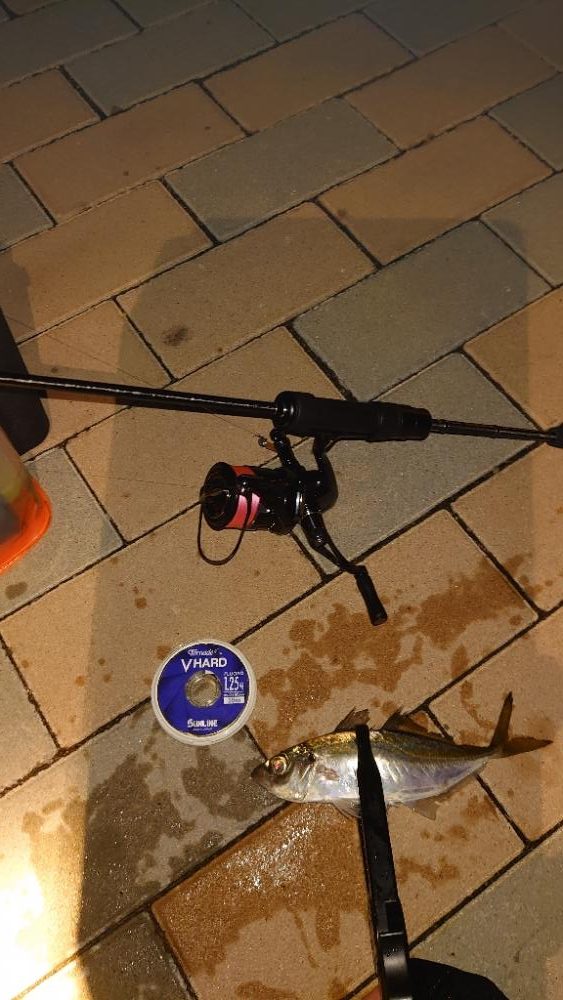 気合い入れて行ってみた