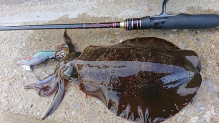 遂に対馬が選択できる！！