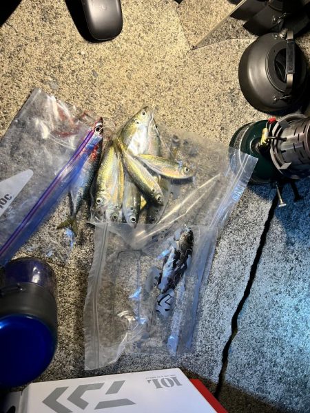 夫婦で釣りに行ってきました