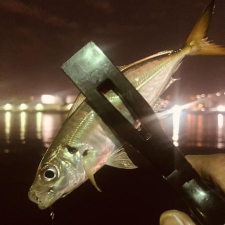 すっかりアジンガー