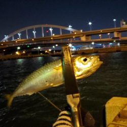南港でのアジングで釣り納め