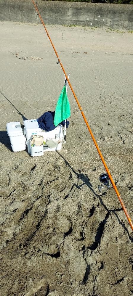 しつこくキス釣りへ