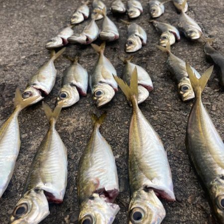 気分はアジンガー