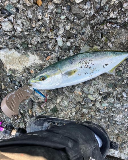 釣れてくれてありがとう