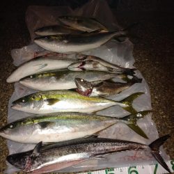 待望のサワラ＆初クログチ