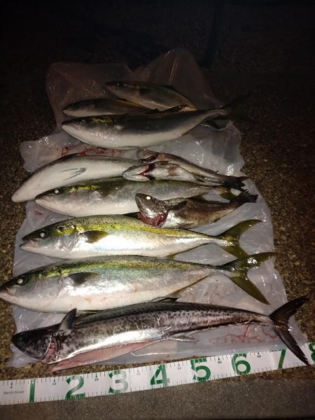 待望のサワラ＆初クログチ