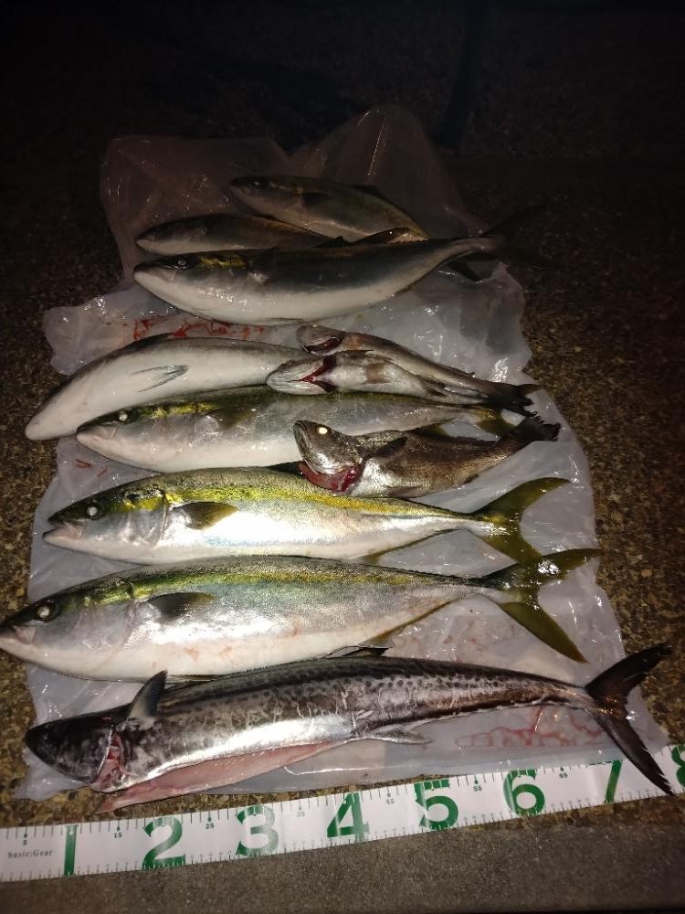 待望のサワラ&初クログチ