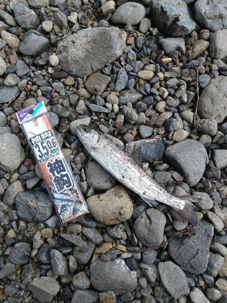 美味しいアマゴを釣りに☆