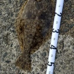 満足の釣り納め