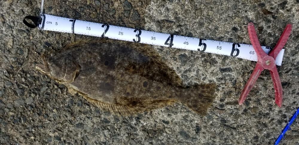 満足の釣り納め