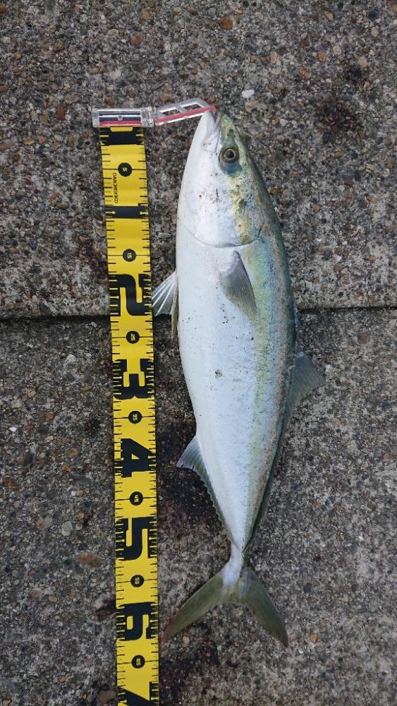 2022播磨遠征第5回