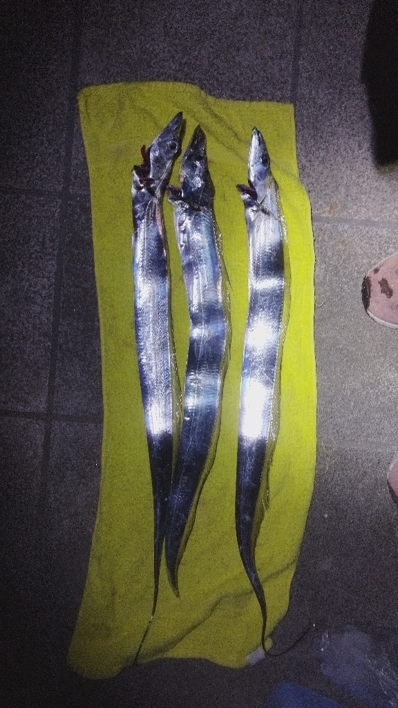 そういえば流星群