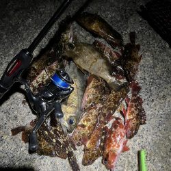 釣り納めメバリング