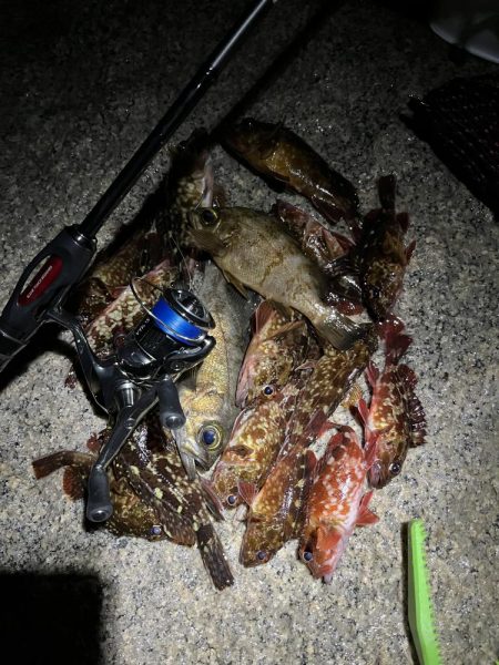 釣り納めメバリング