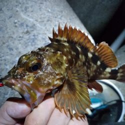 フロートメバリング