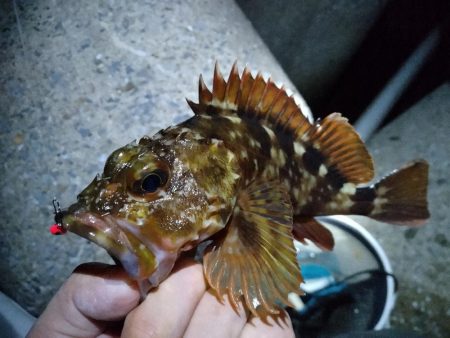 フロートメバリング