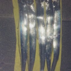 外は自然の冷蔵庫