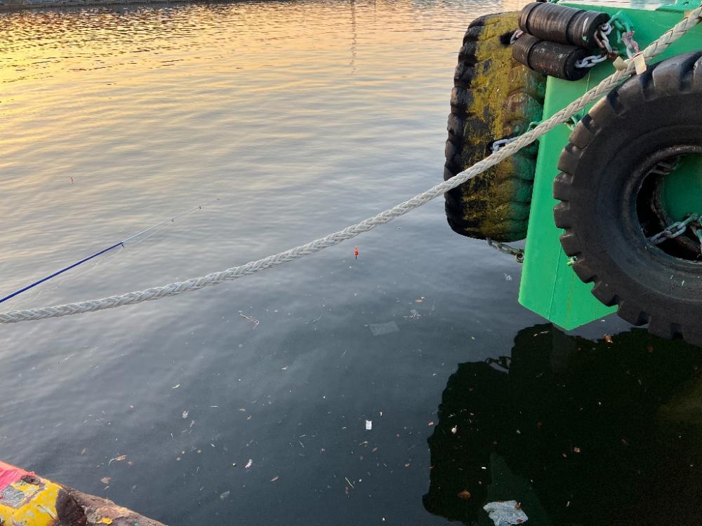 調達指令!でも何かもったいないような気がして・・・