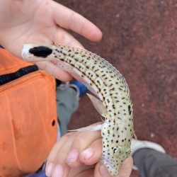 初めての沖縄！