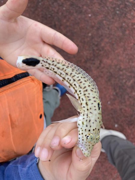 初めての沖縄！