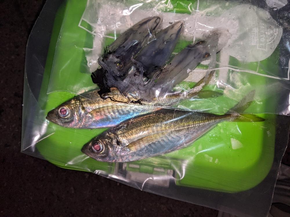 逃した魚はデカかった…