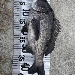 イチノ兄弟(兄)釣果!