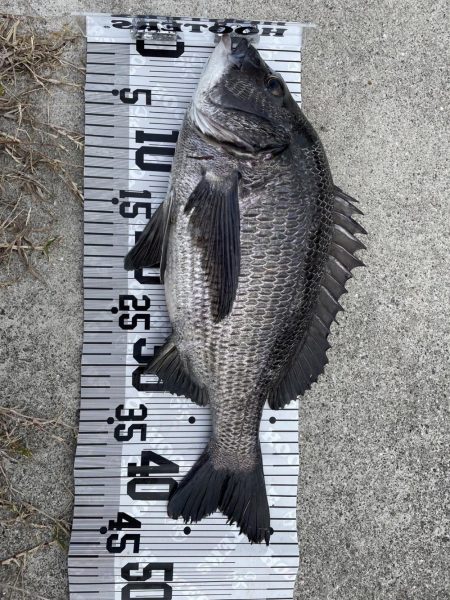 イチノ兄弟（兄）釣果！