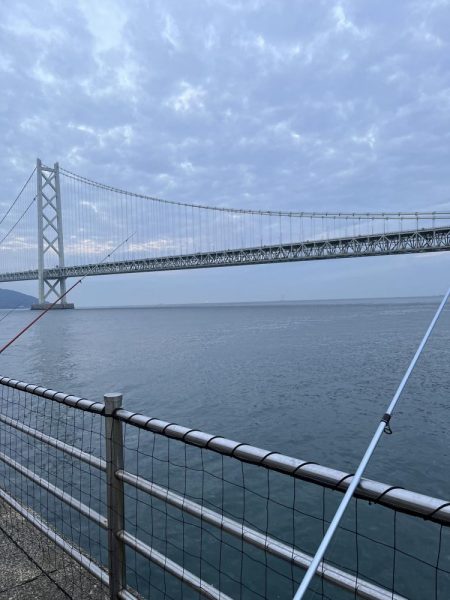 カレイはどこ、サビキしか勝たん