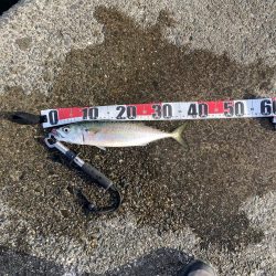 なかなか厳しい！