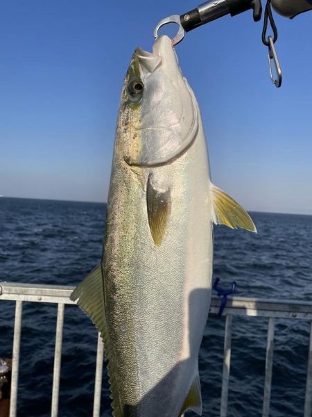 ★★爆風の中でも青物ゲット★★