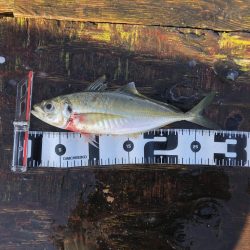 悪天候の合間の晴れの日