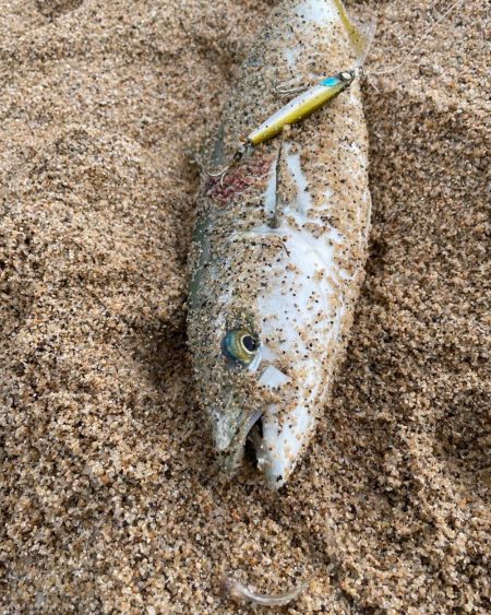 サーフナブラ打ち