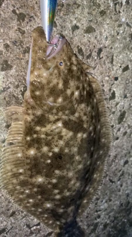 道路脇でまさかの釣果