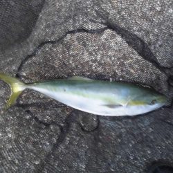 スローな動きが◎