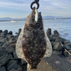 ヒラメ釣れました