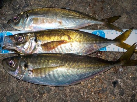 今年のラストは？