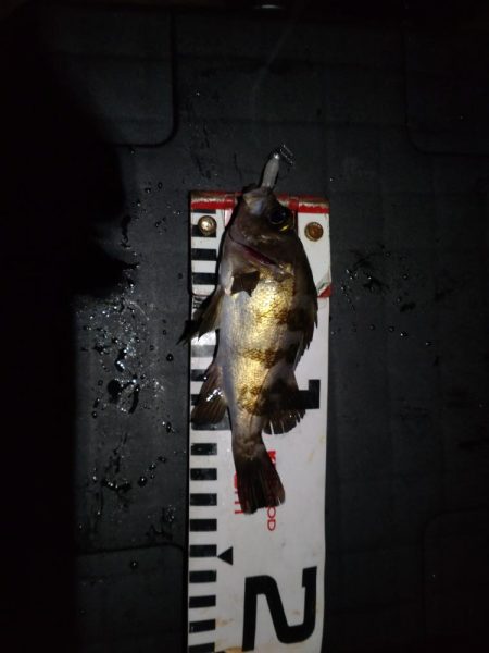 寒かったけど！