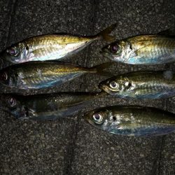 寒くなてからの3日目