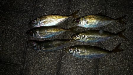 寒くなてからの3日目