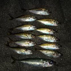 ツ抜けチャレンジ