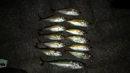 ツ抜けチャレンジ