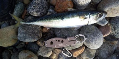 ショアジギング