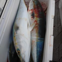 寒鰤ジギングシーズン開幕