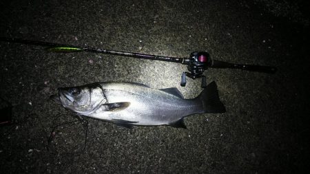 風速１３mの大時化の中