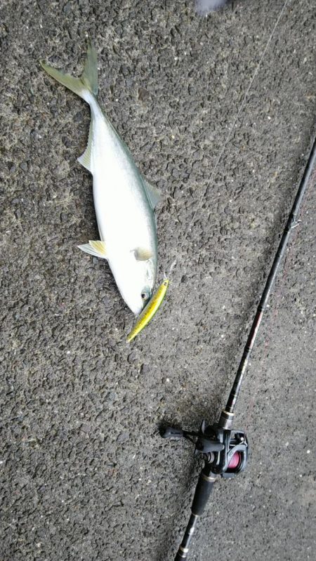 時化て波が岩場に当たる中よく見たら