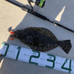 寒くなったらフラットフィッシュゲーム