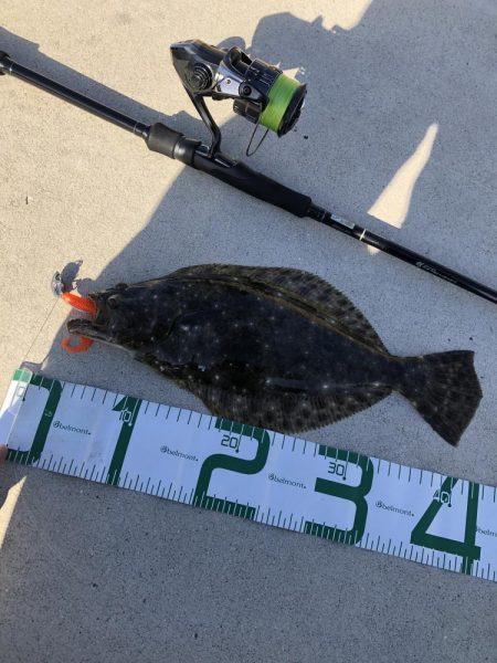 寒くなったらフラットフィッシュゲーム