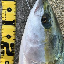 そろそろ終わりかなぁ?どうやろかなぁ〜