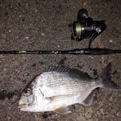 ズル引きチニング