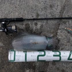 2022 佐渡ヶ島エギング 56回目【11月29日】